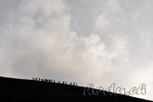 DSC_7289