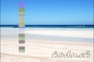 FILE0017