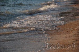 FILE0023
